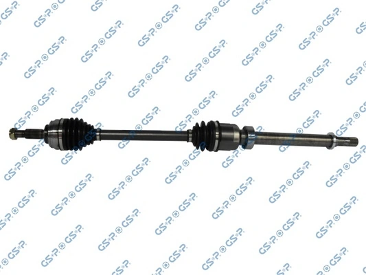250489 GSP