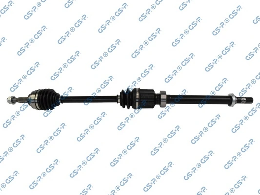 250563 GSP