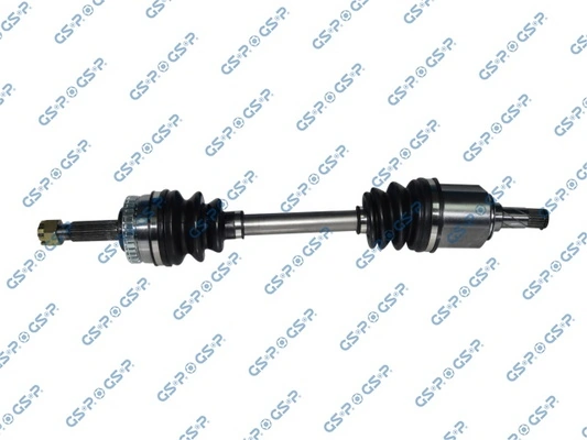 299069 GSP