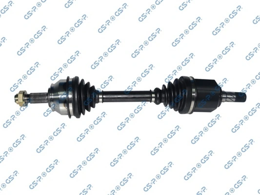 217076 GSP