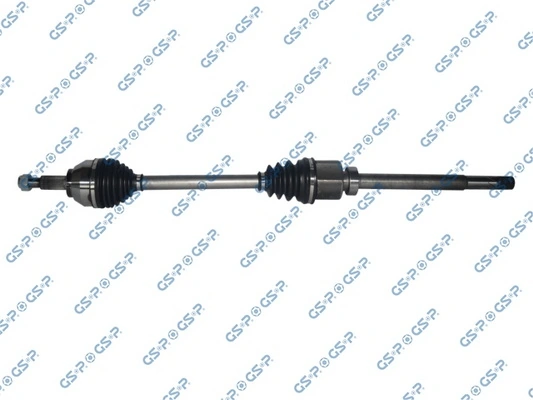 218445 GSP