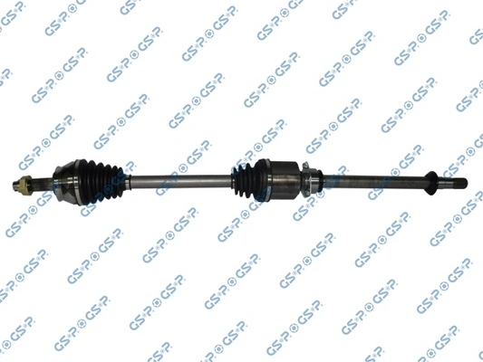 217079 GSP