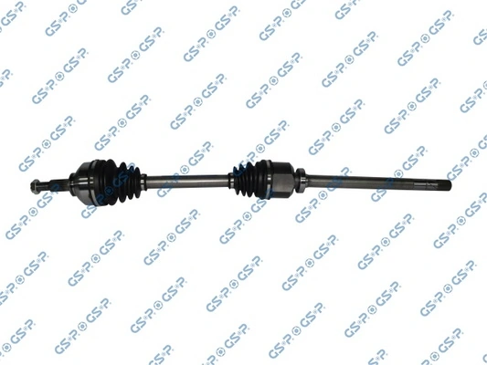 250393 GSP