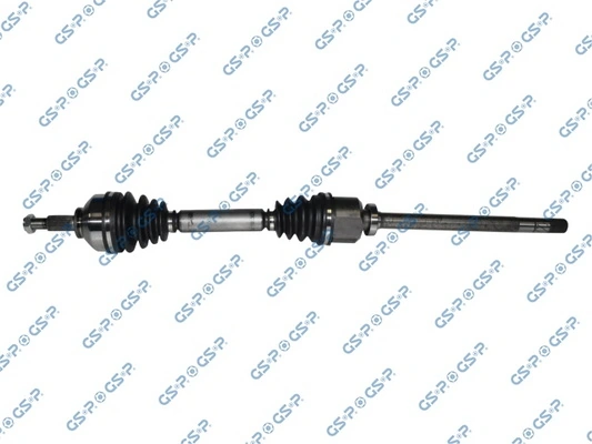 250209 GSP