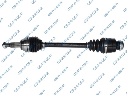 218324 GSP