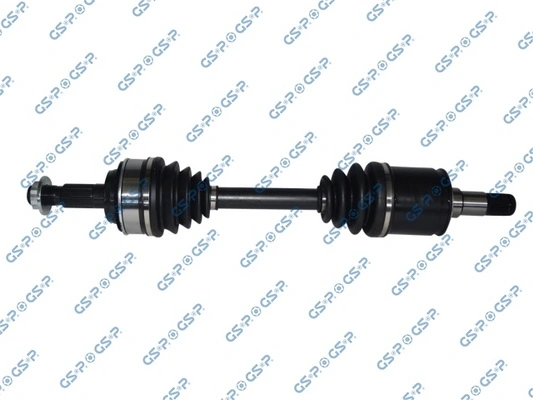 259613 GSP