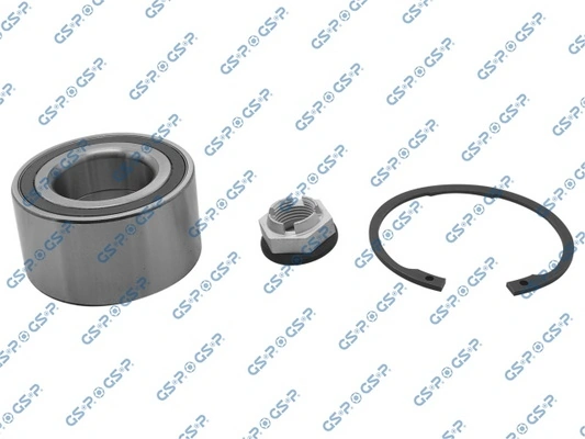GKX0053 GSP