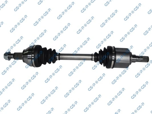 217122 GSP