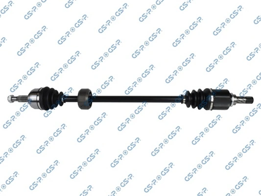 250501 GSP