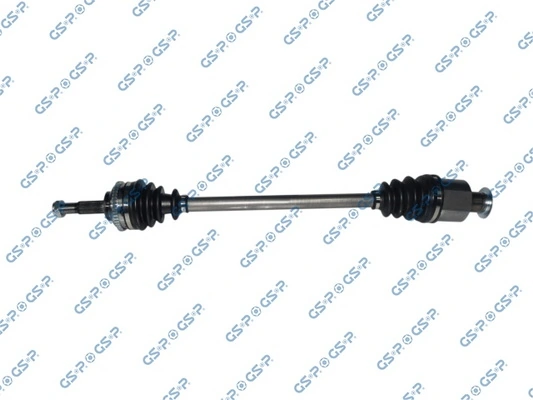 250245 GSP