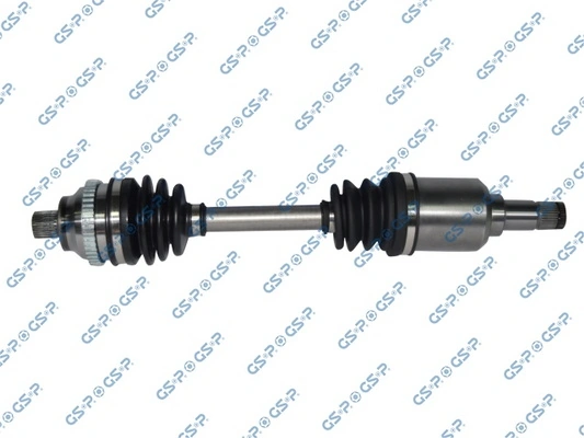 299190 GSP