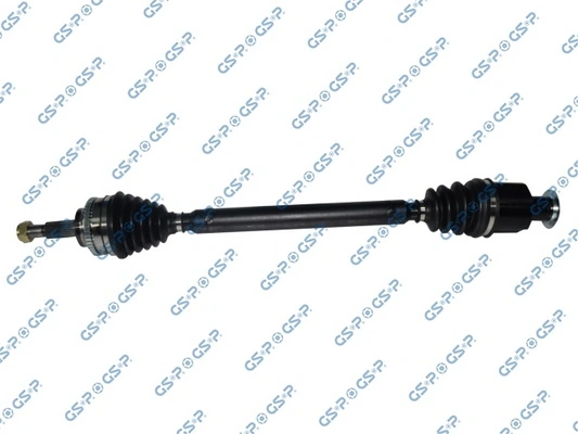 250039 GSP