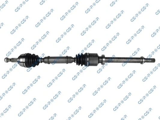 250442 GSP