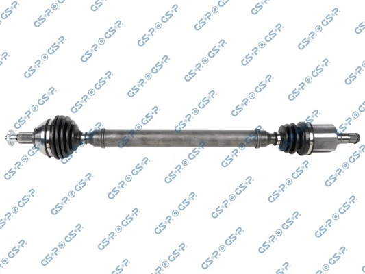 203843 GSP