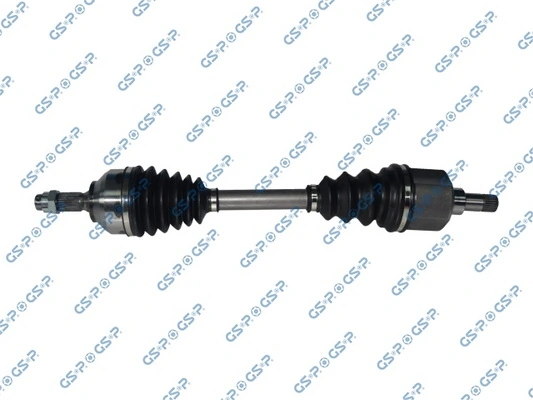 210293 GSP