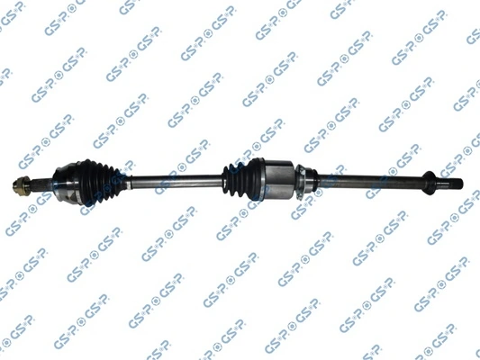 217061 GSP