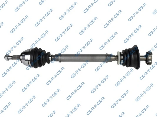 250197 GSP