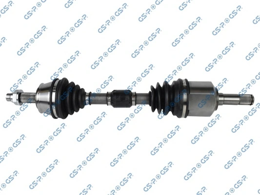 217107 GSP