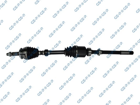 259518 GSP