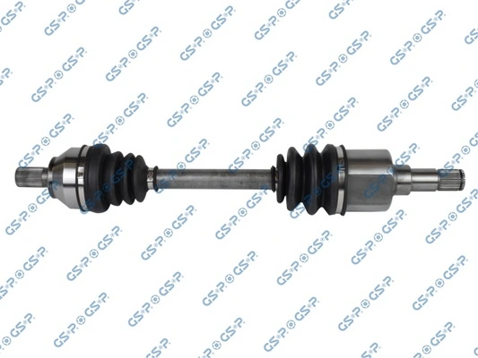 218194 GSP
