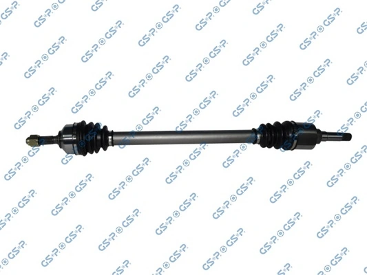 299271 GSP