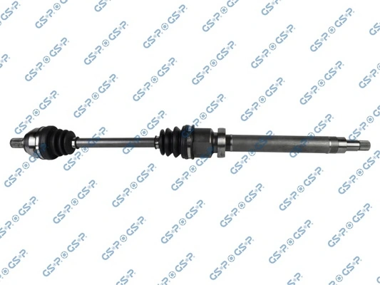 218206 GSP