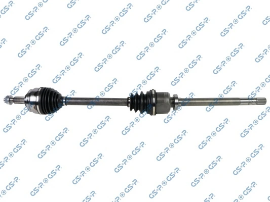 250592 GSP