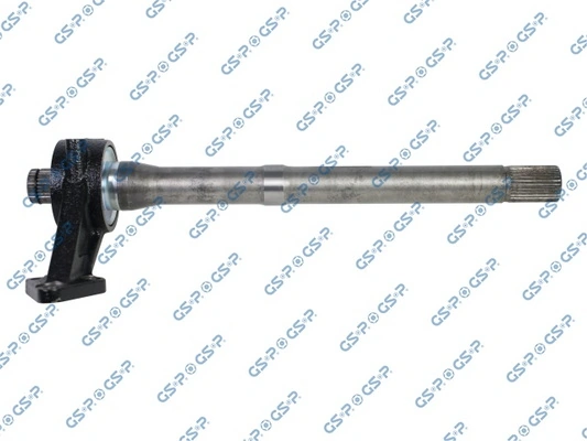 202862 GSP