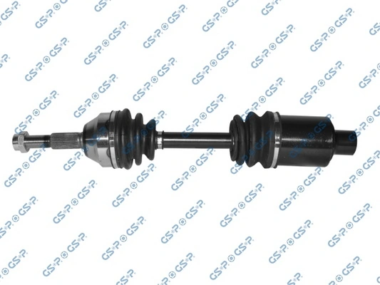 216011 GSP