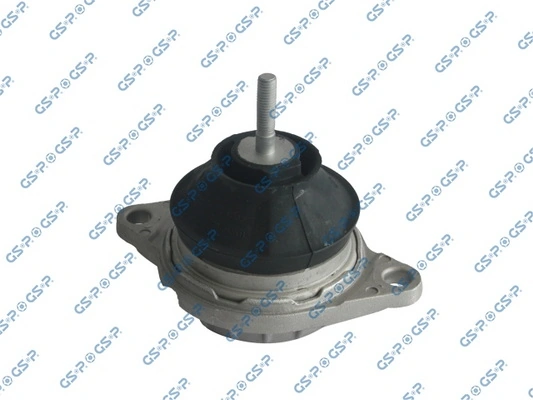510119 GSP