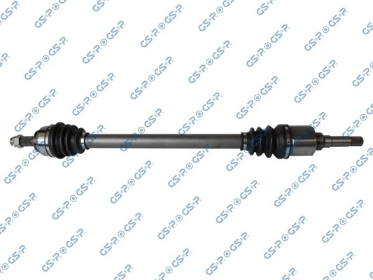 245201 GSP