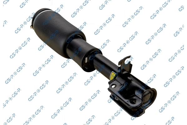 30900462 GSP