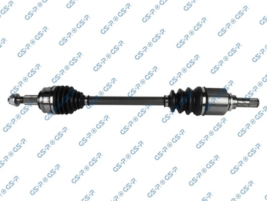 299228 GSP