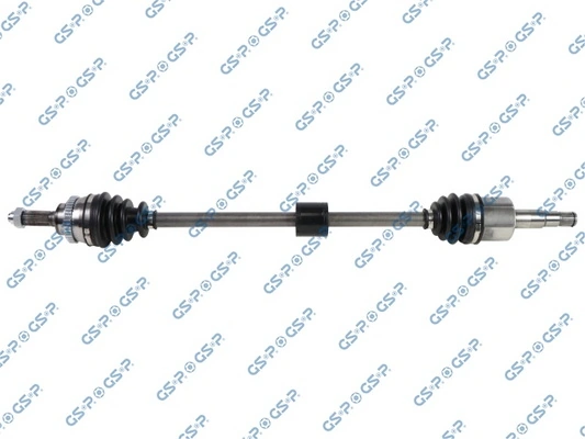 244043 GSP