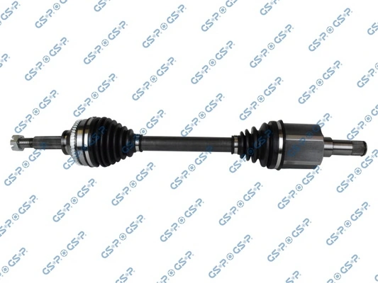218472 GSP