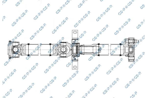 PS901709 GSP