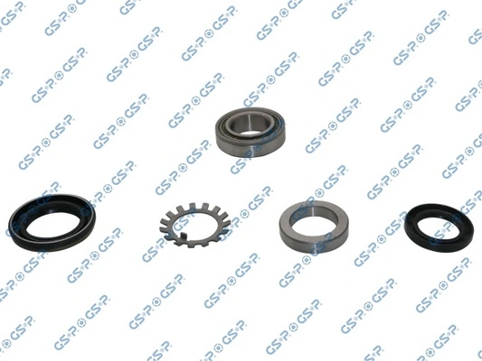 GKX0075 GSP