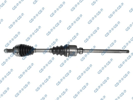210295 GSP