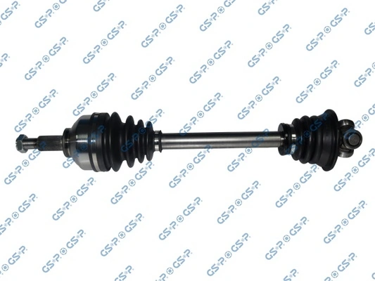 250557 GSP