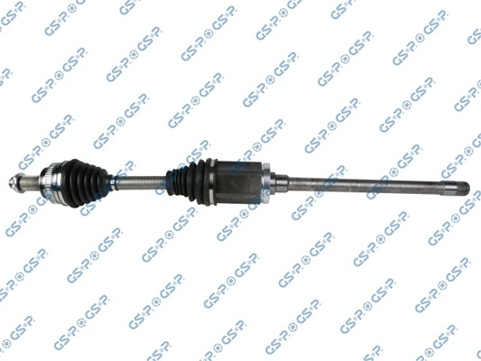 205125 GSP