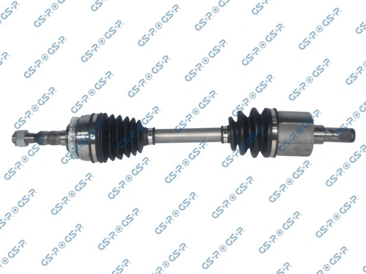 244094 GSP