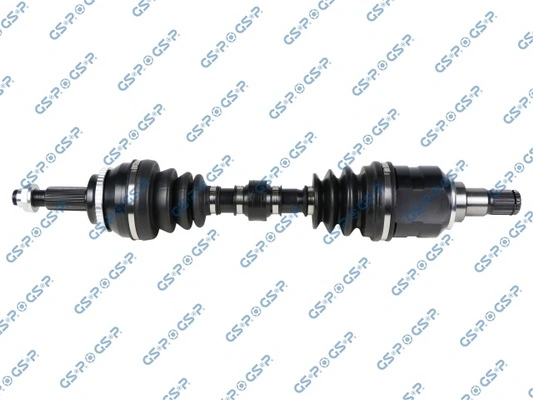 259445 GSP