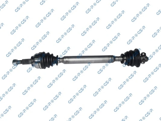 250446 GSP
