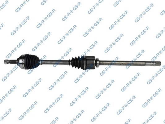 218301 GSP