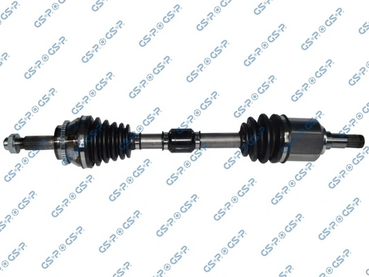 259505 GSP