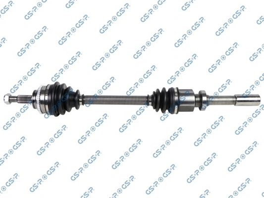 250156 GSP