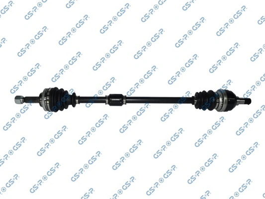 244070 GSP