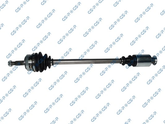 250389 GSP