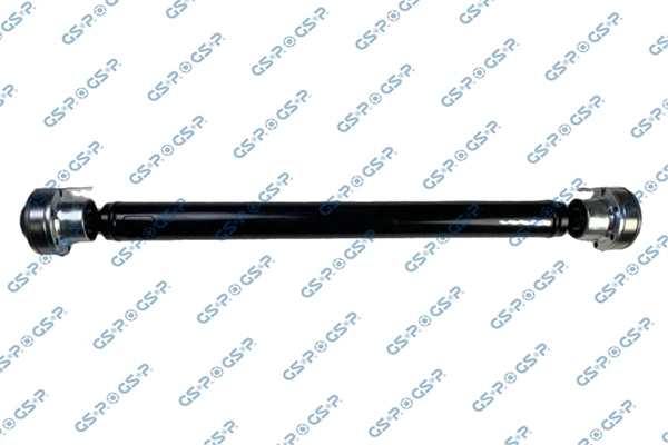 PS901670 GSP