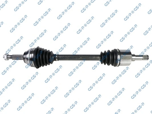218455 GSP